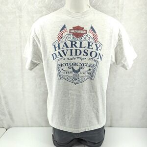 Harley Davidson T Shirt Mens XL Gray Graphic Pin Up Alaska Hanes Beefy T 2011